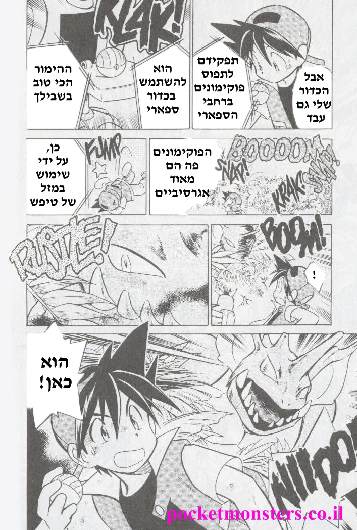 http://pocketmonsters.co.il/wp-content/uploads/2011/09/Untitled-7.jpg