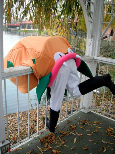 http://pocketmonsters.co.il/wp-content/uploads/2011/10/pokemon-costume-James-Victreebel.jpg